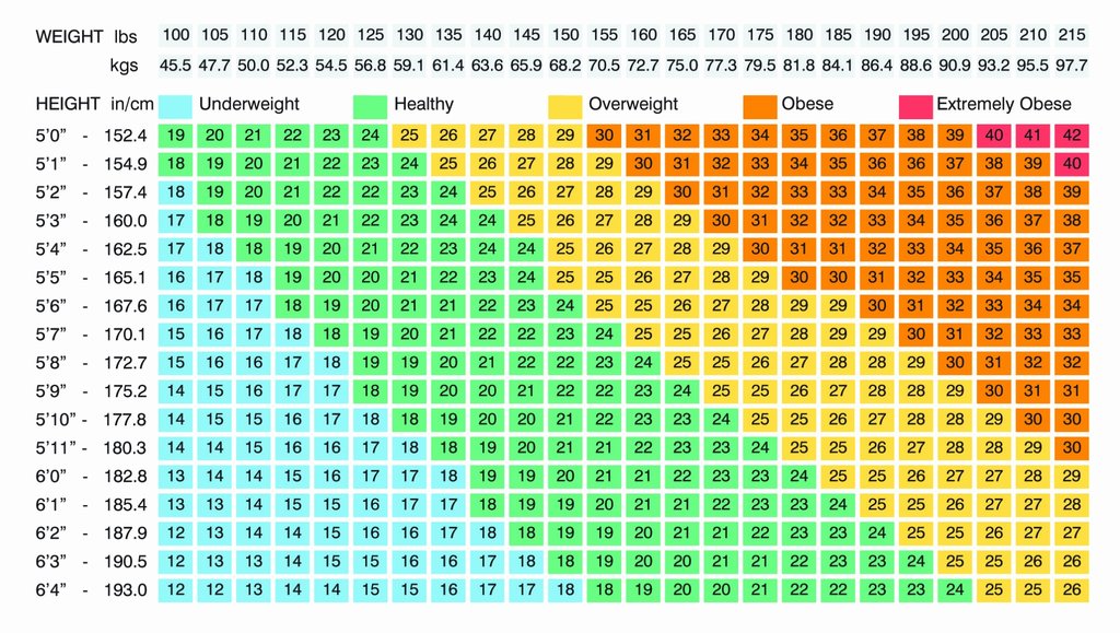 BMI 指数对照表